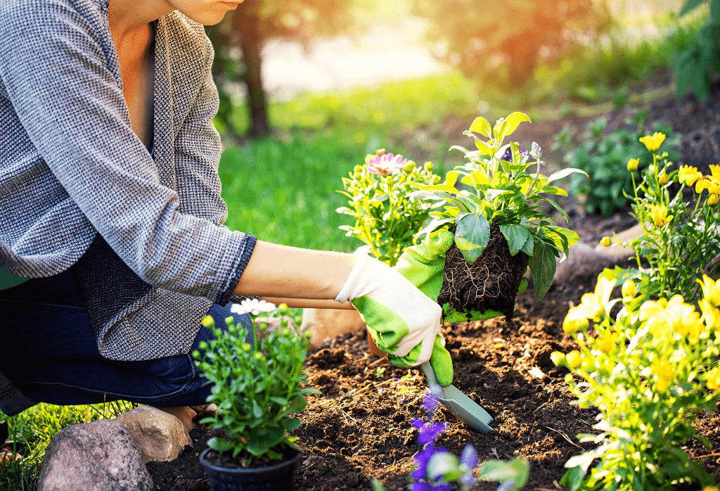 Landscape bed weed control services