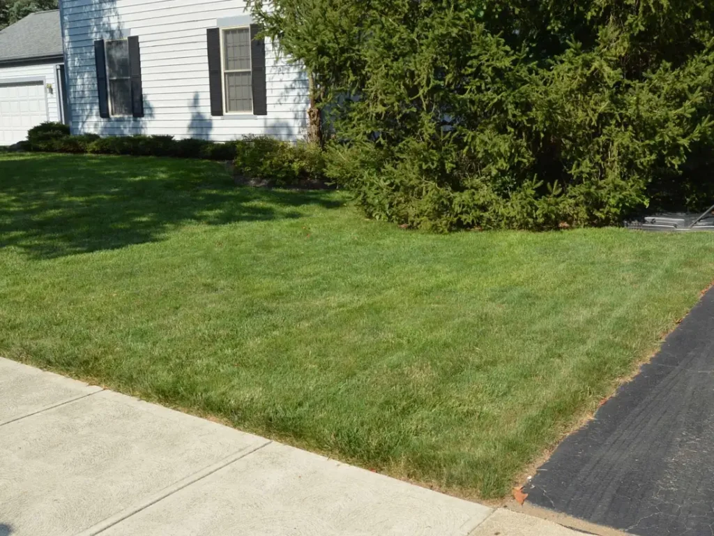 Lawn Care in Carmel, IN