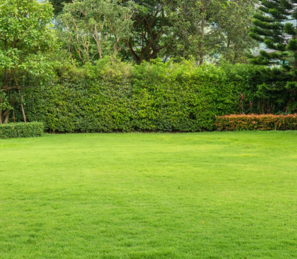 Eco-friendly lawn fertilization & weed control