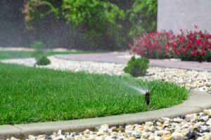 watering lawn during spring